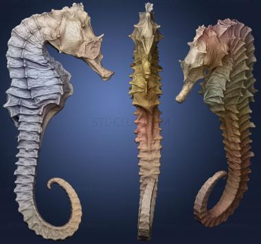 3D model sea horse 2 (STL)